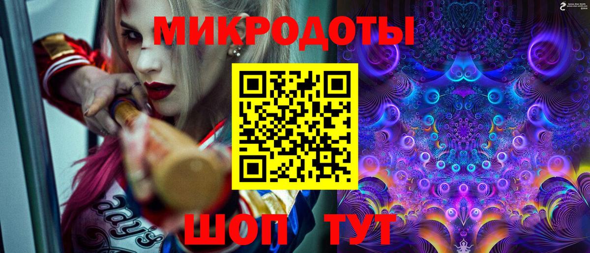Псилоцибиновые грибы Cubensis Тольятти