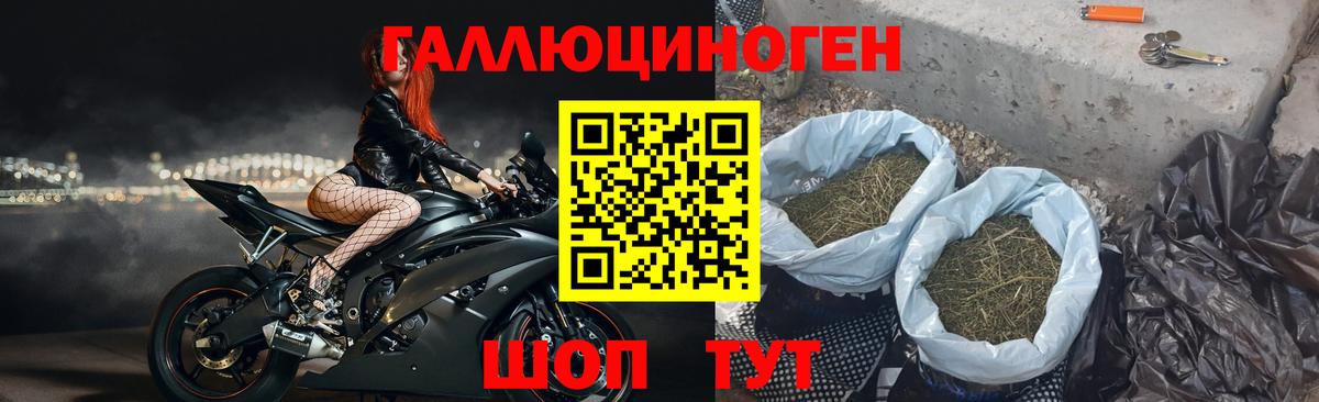 Тольятти  Псилоцибиновые грибы мухоморы  Псилоцибиновые грибы ЛСД  Вход с VPN 